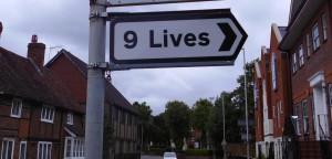 funny-signs-9-lives